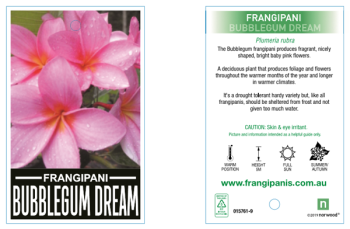 Bubblegum Dream Label